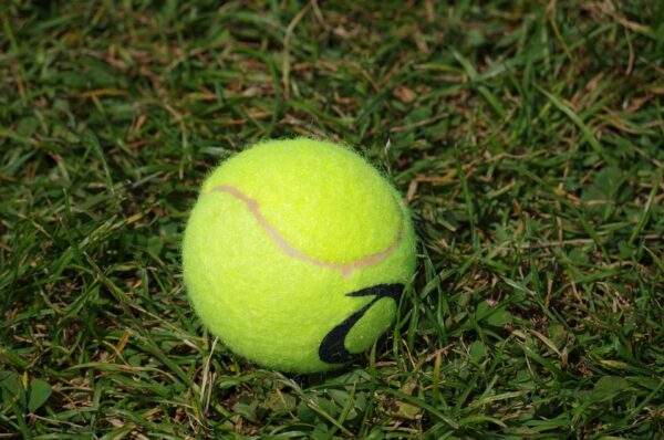 The Rise of Carlos Alcaraz: Tennis’s Next Superstar